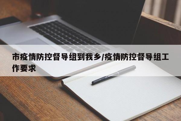 市疫情防控督导组到我乡/疫情防控督导组工作要求
