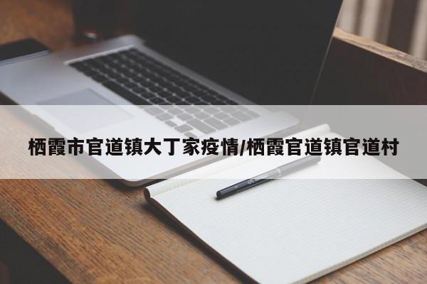 栖霞市官道镇大丁家疫情/栖霞官道镇官道村